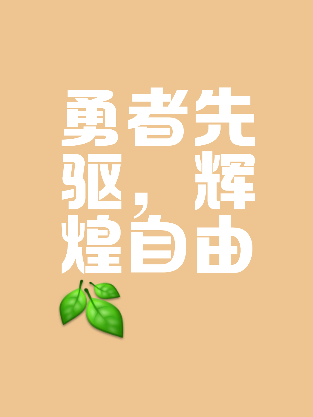 勇攀高峰，冠军荣耀如期而至