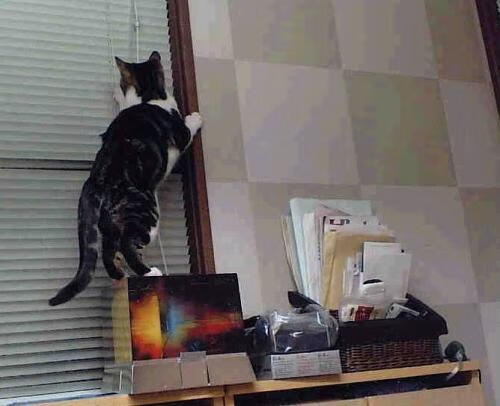 英雄主义与历史之夜，京多安的独舞与威尔士的破晓之战