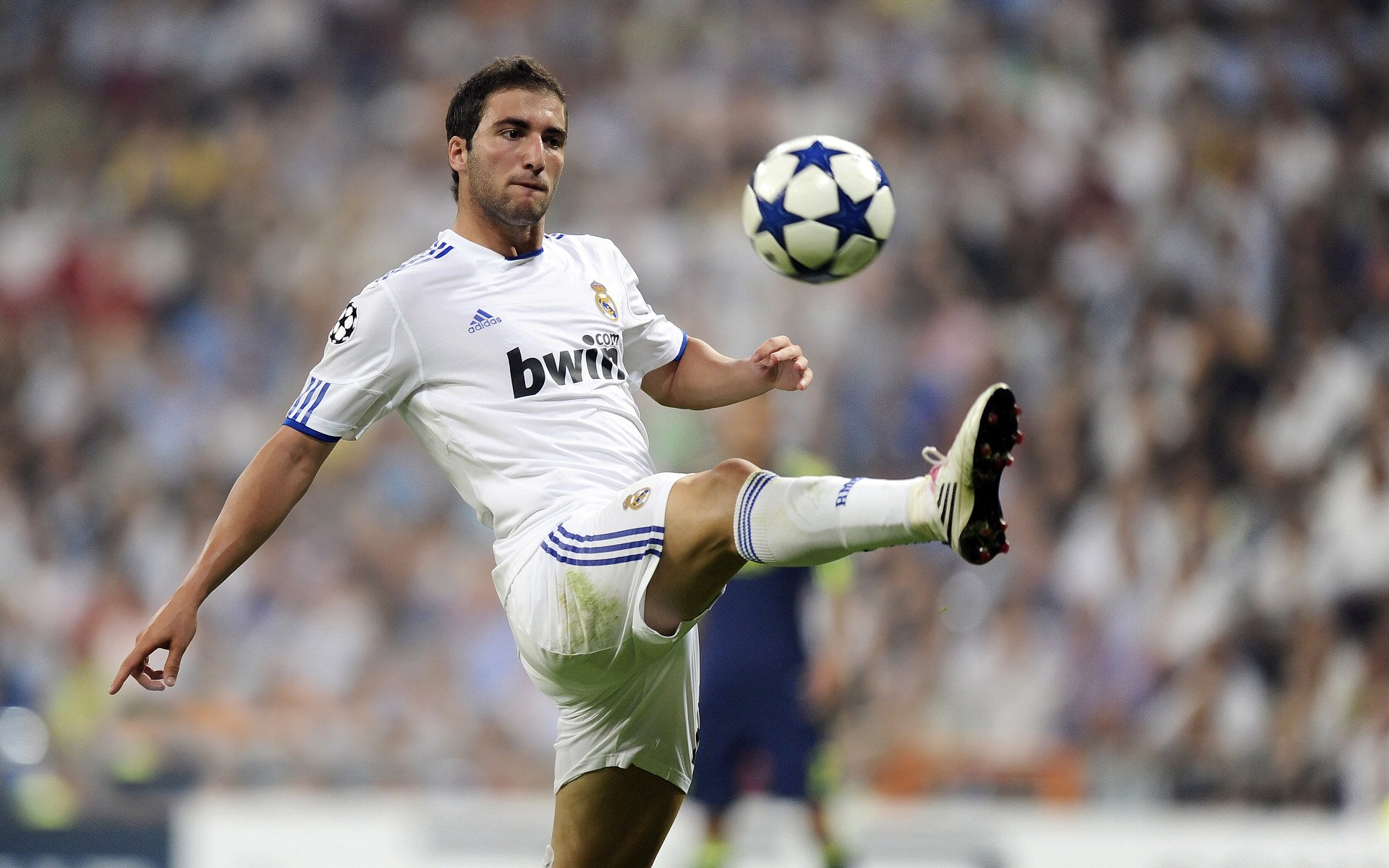 燃烧的跨界,当弗拉霍维奇点燃安哥拉与委内瑞拉的赛场